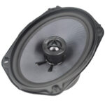 Audio Yong CMG69G1 200W Max Power CMG Coaxial Series