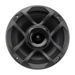 Audio Yong COX8SG3 D4 300W Max Power Pro Coaxial