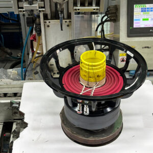 Voice Coil Misalignment or Deformation