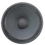PW415N 2| 15-Inch 1,000W Pro Audio Neo Subwoofer
