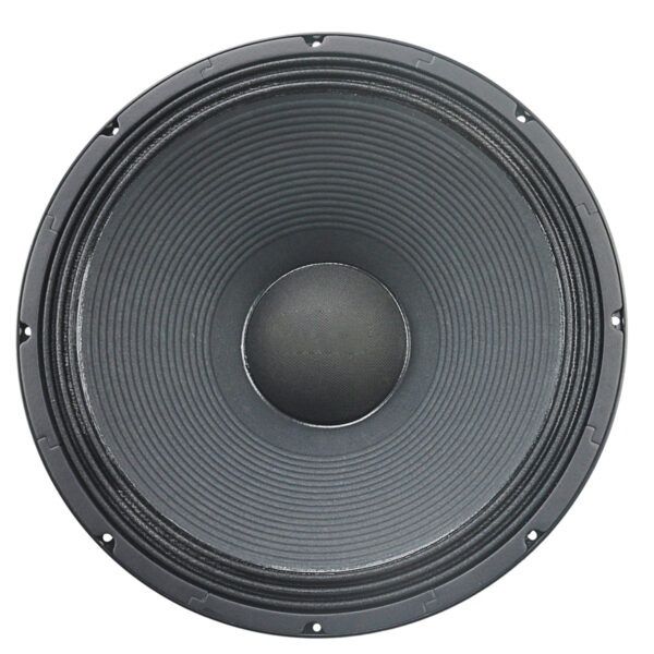 PW415N 2| 15-Inch 1,000W Pro Audio Neo Subwoofer