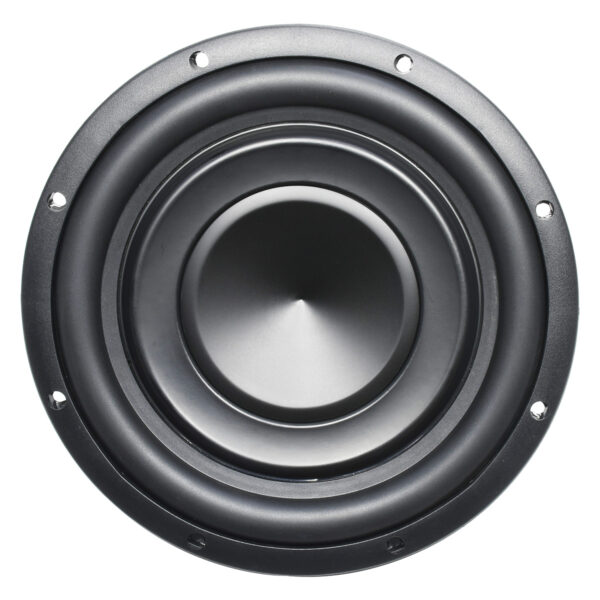 SG10FG1 10-Inch Shallow Mount 100W Car Subwoofer 2