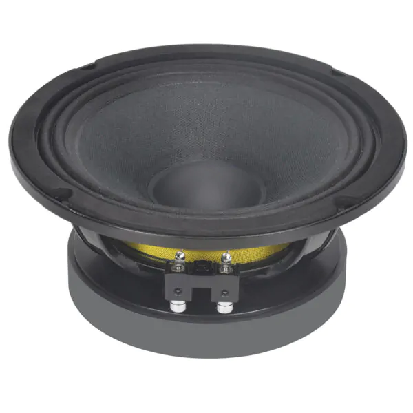 Wholesale Car Midrange Speaker OEM Manufacturer