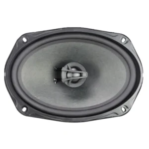 automotive audio system showing car speaker and subwoofer equipment