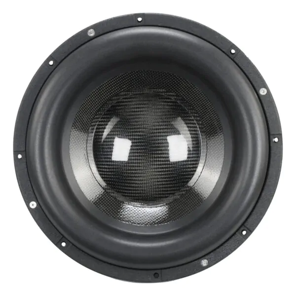 Audio Yong SG10G5 D2/D4 2000W Max Power Car Subwoofer