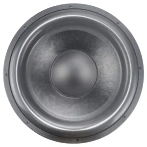 SP12G2 D1/D2 | 12″ 4,000W Max Power NEO Car Subwoofer 2